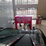 IMG_20231021_165800 - copia IMG_20231021_165800 - copia